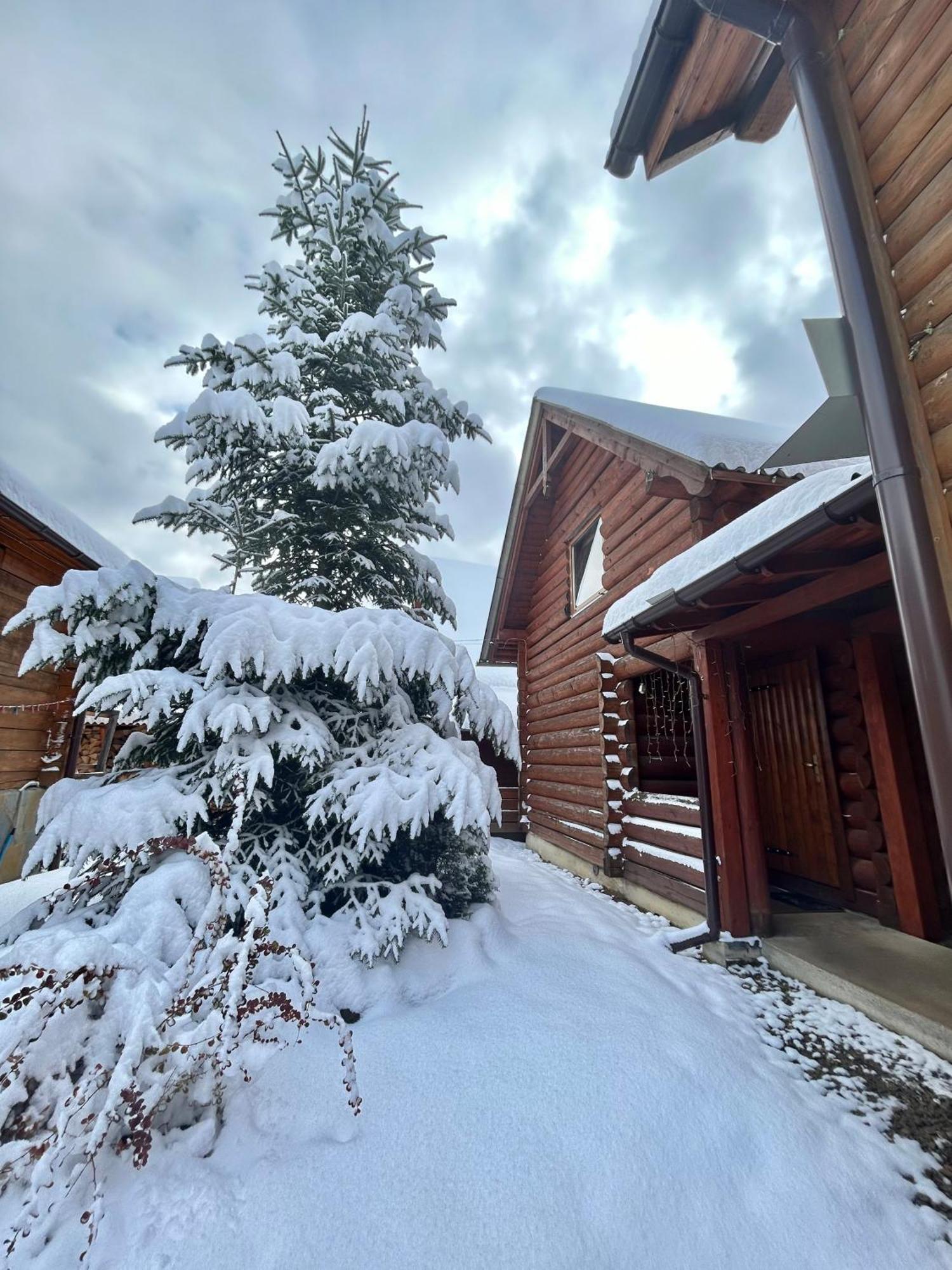 Guest House Kaspiy Boekovel Buitenkant foto